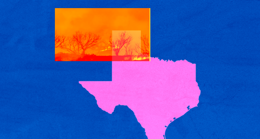 Shaoe if texas in bright pink and imade of burning trees over blue background 